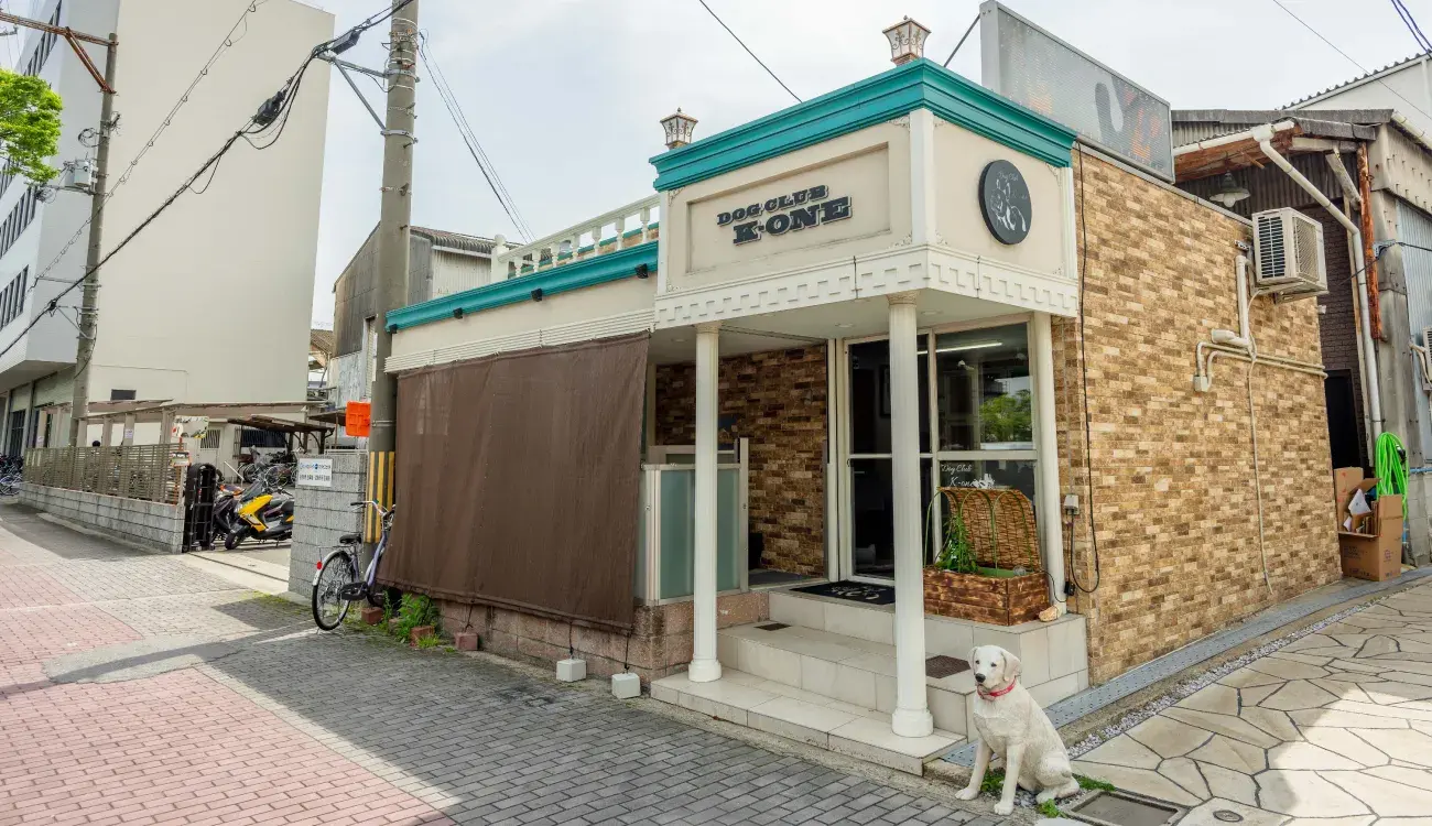 DOG CLUB K-ONE 店舗情報